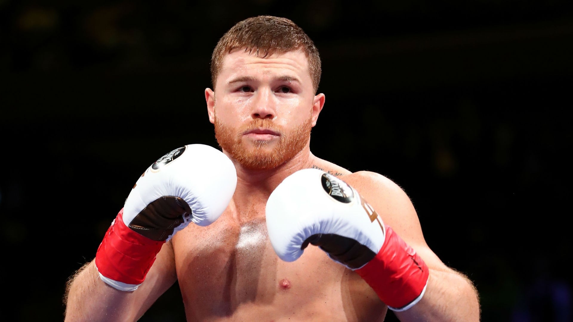 Canelo Alvarez Wallpaper