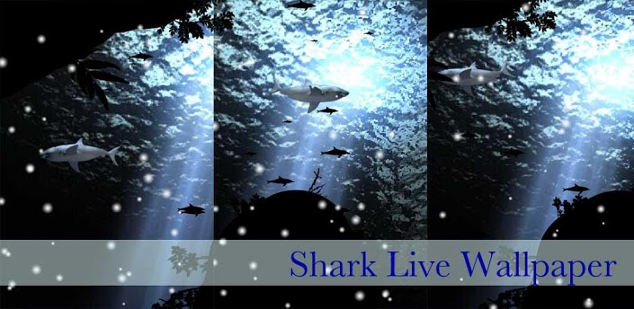 download android latest updated live wallpaper app 3d shark live