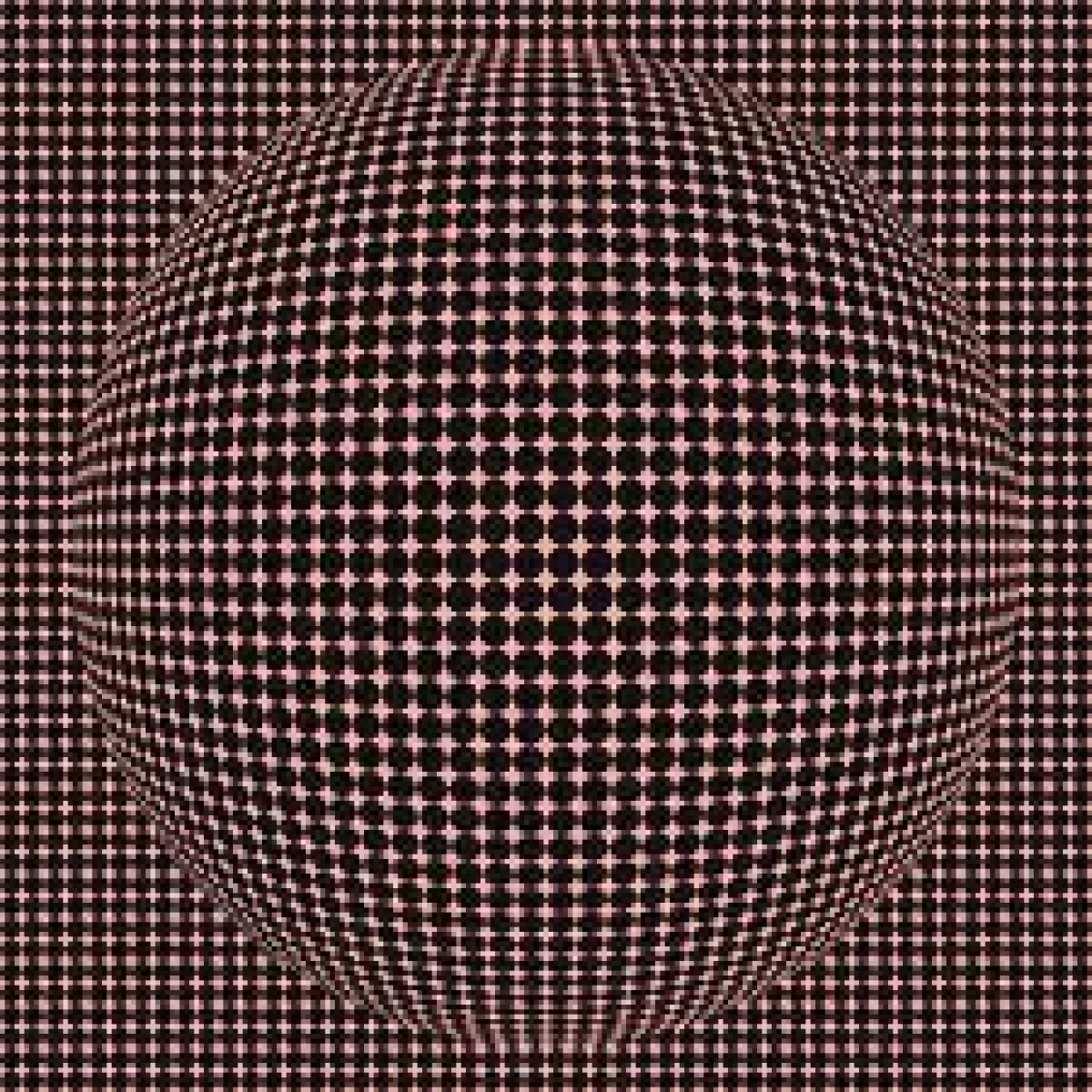 Home Illusions Moving Amazing Optical Illusion