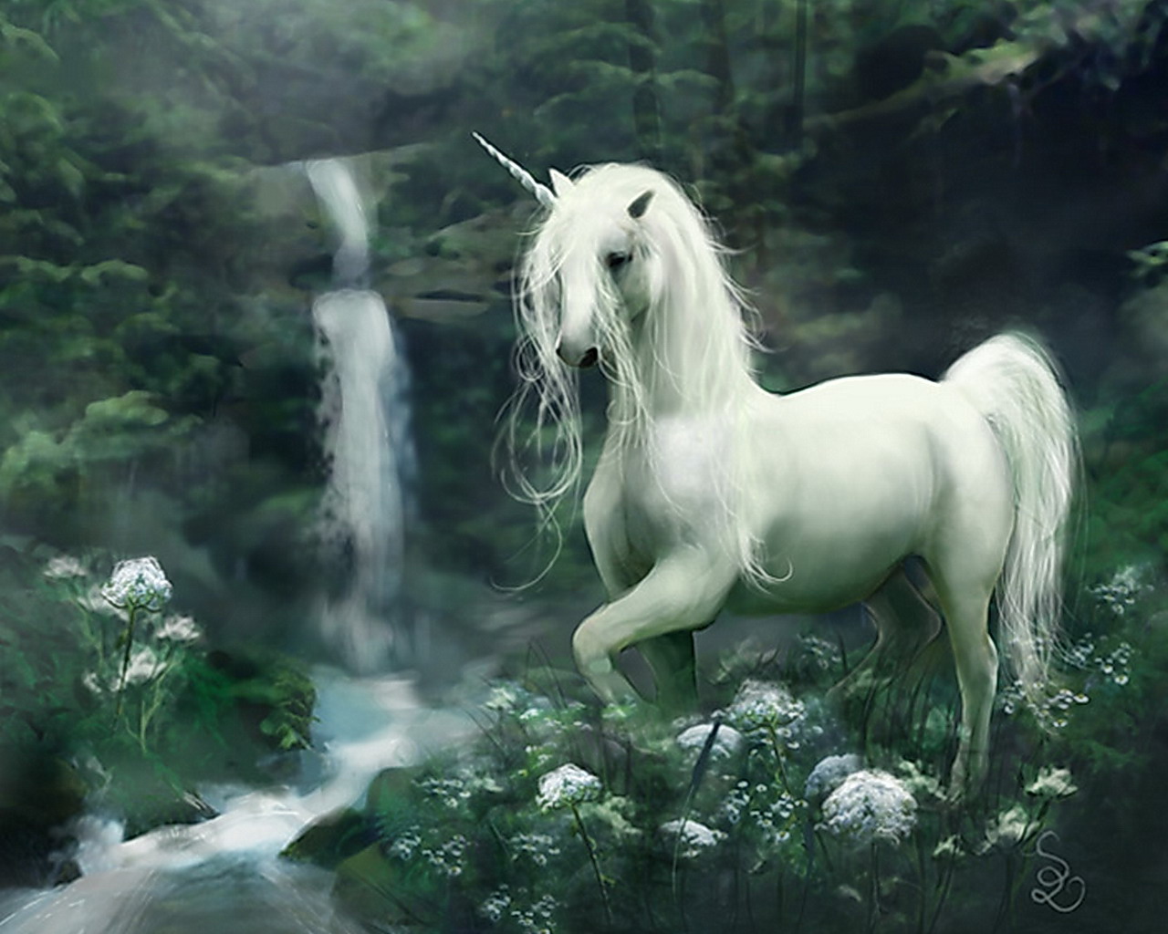 Unicorn Fantasy Photo