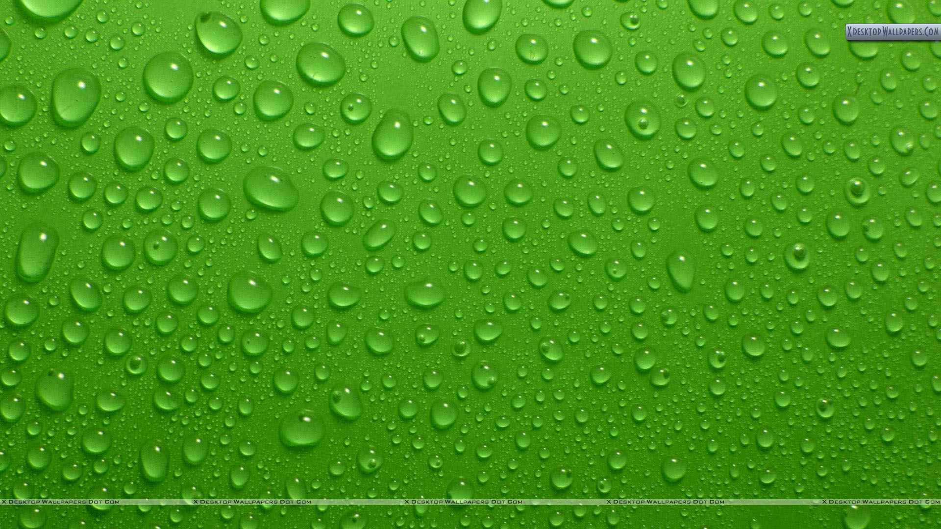 Drops On Green Background Wallpaper