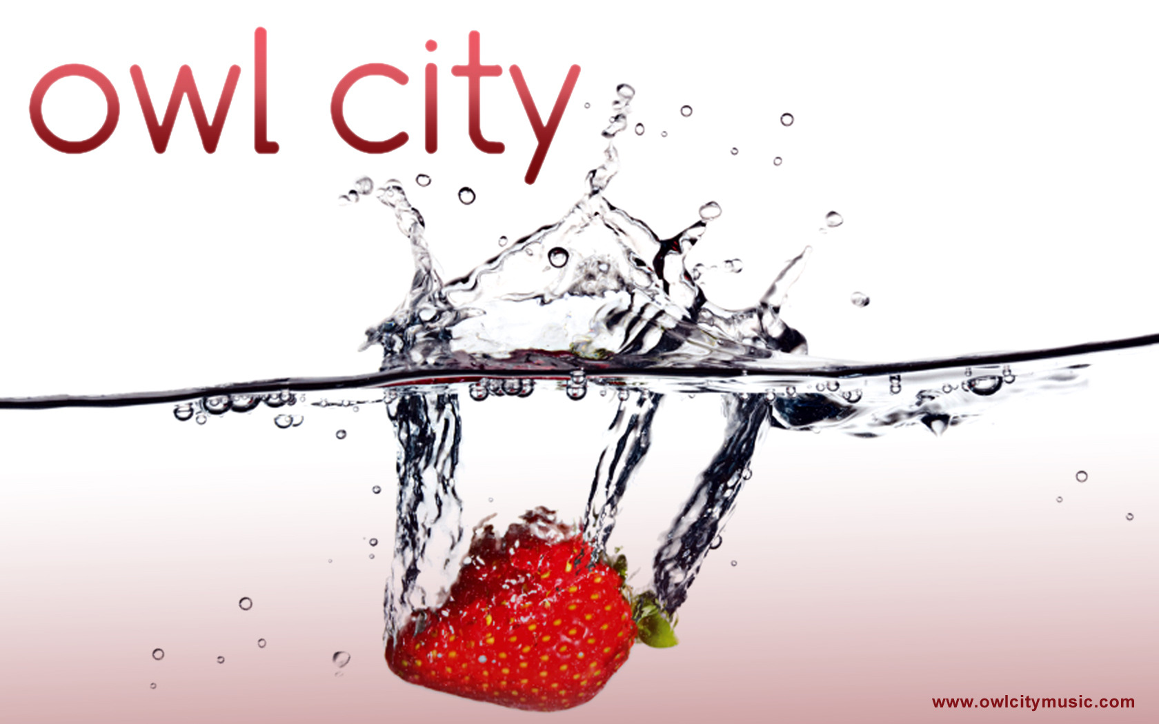 Owl City Strawberry