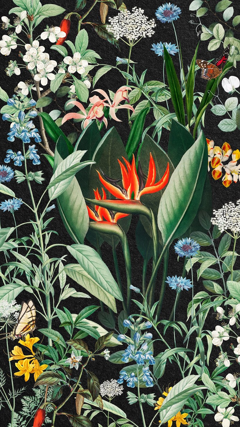 Flower iPhone Wallpaper