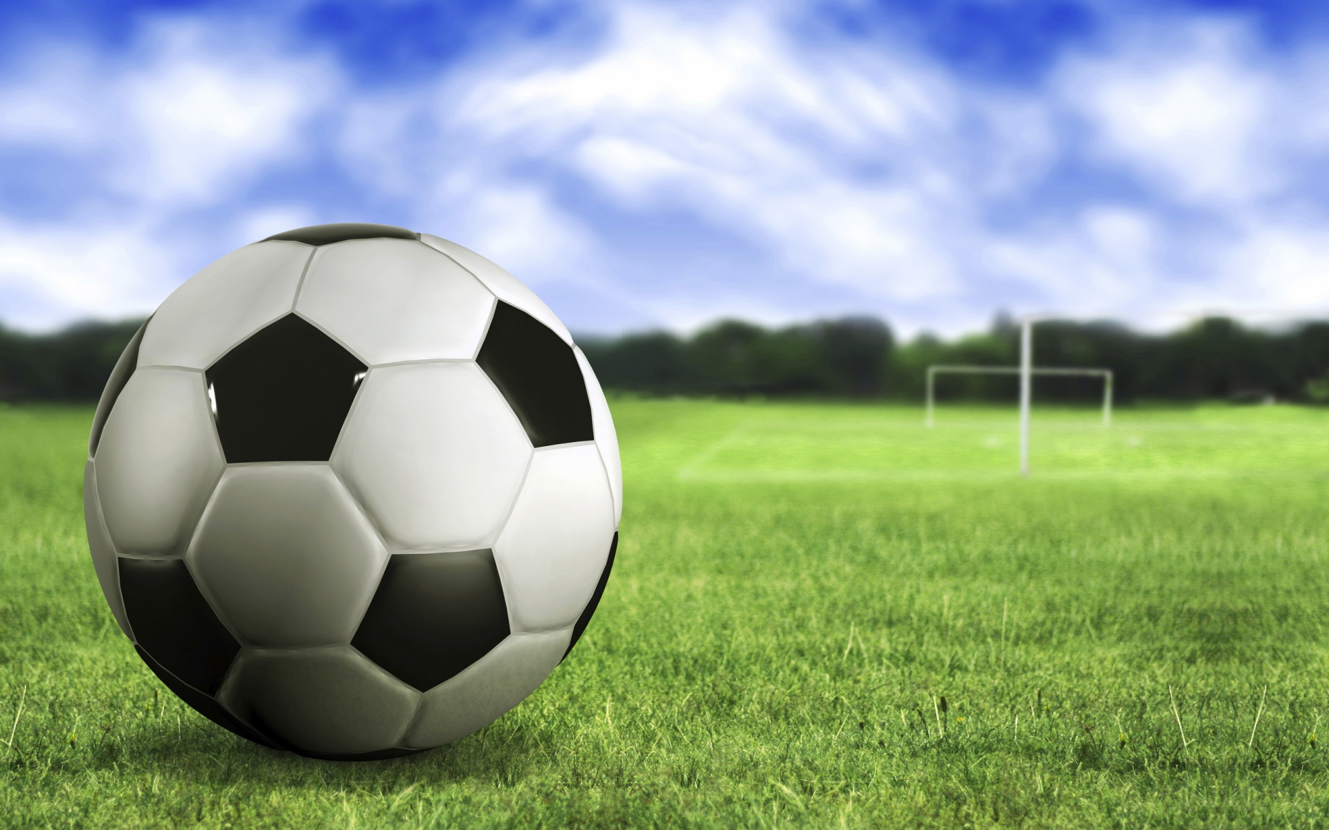 Soccer Ball On The Grass Desktop Pc And Mac Wallpaper