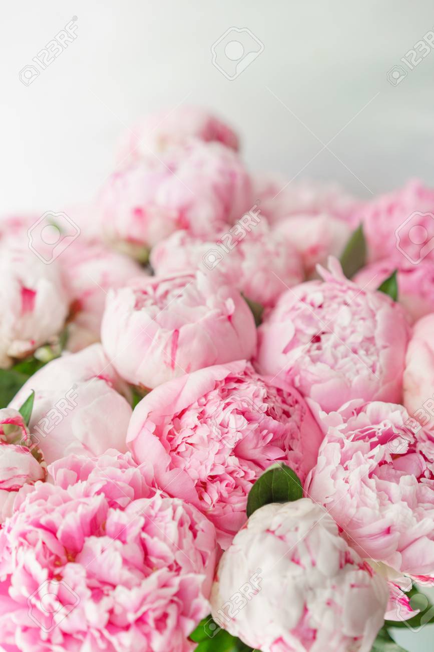 Pink Peonies Floral Position Daylight Wallpaper Lovely