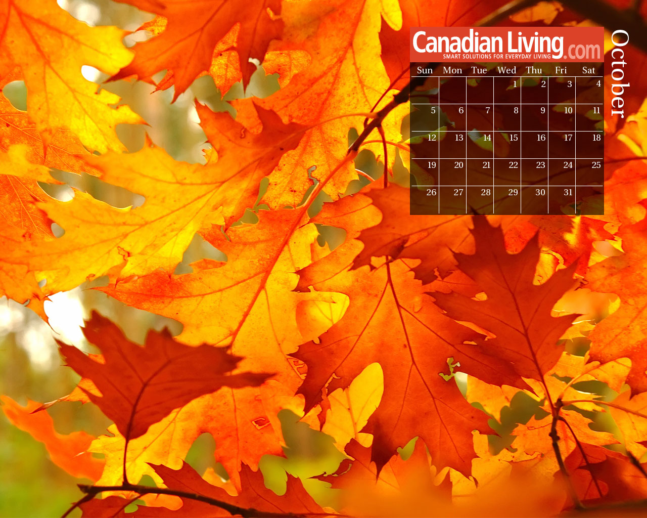 October Fall Calendar Desktop Background