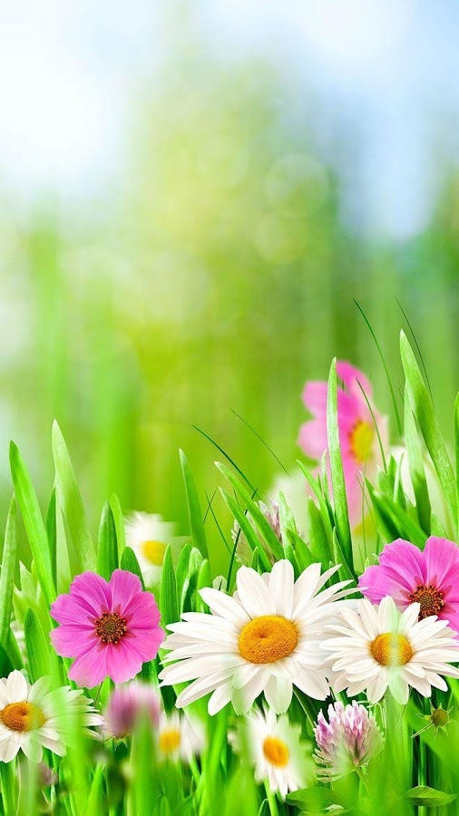 Green Spring Live Wallpaper Android Apps On Google Play
