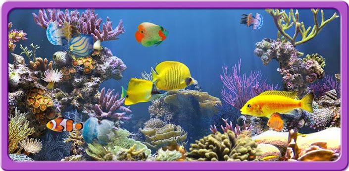 3d New Aquarium Wallpaper