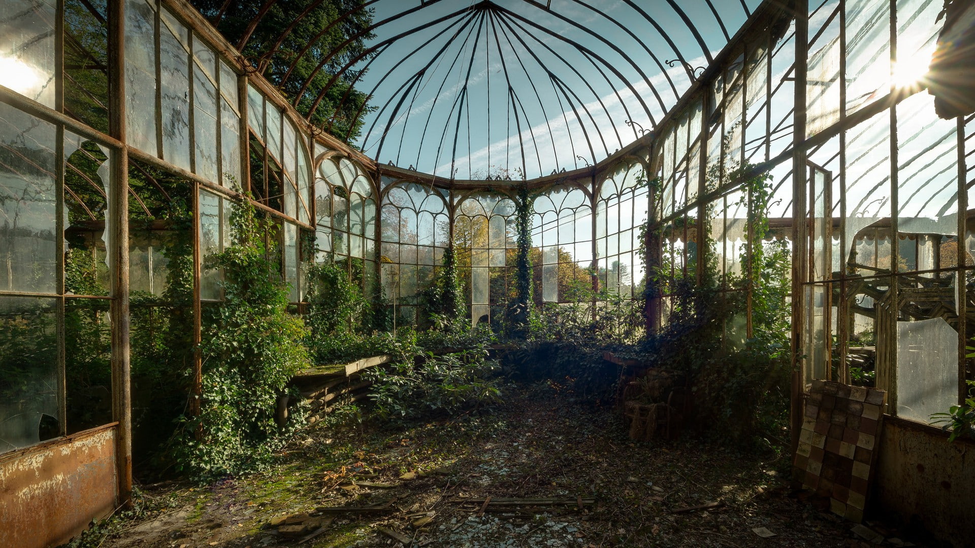 HD Wallpaper Brown And Green Plant Garden Abandoned Greenhouse