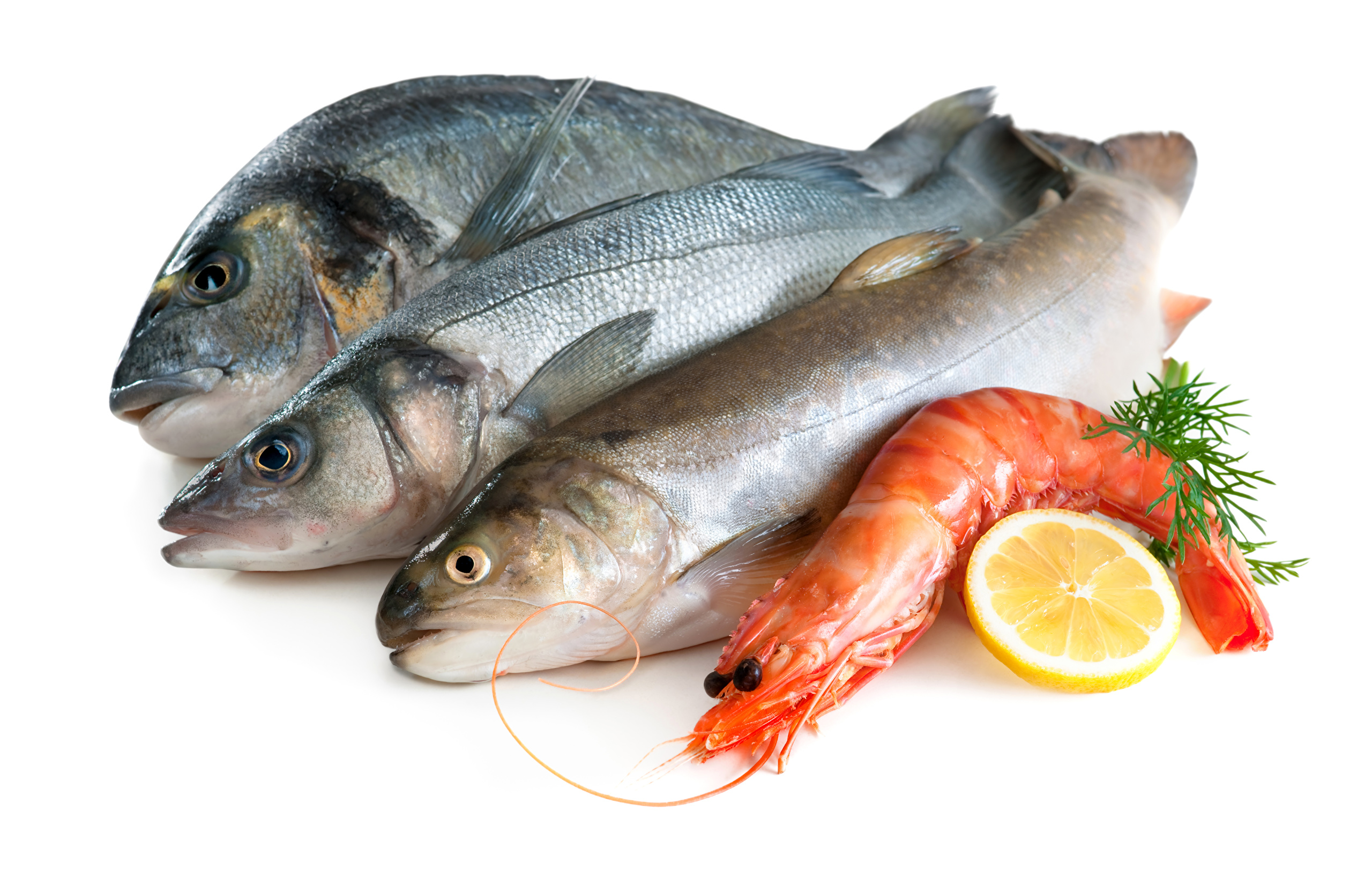 Image Lemons Shrimp Fish   Food Food Seafoods White 2560x1664