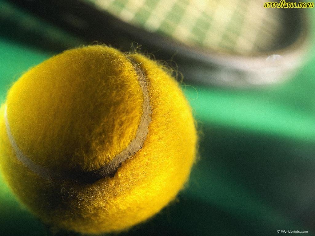 Tennis Ball Outdoor Sports Wallpaper