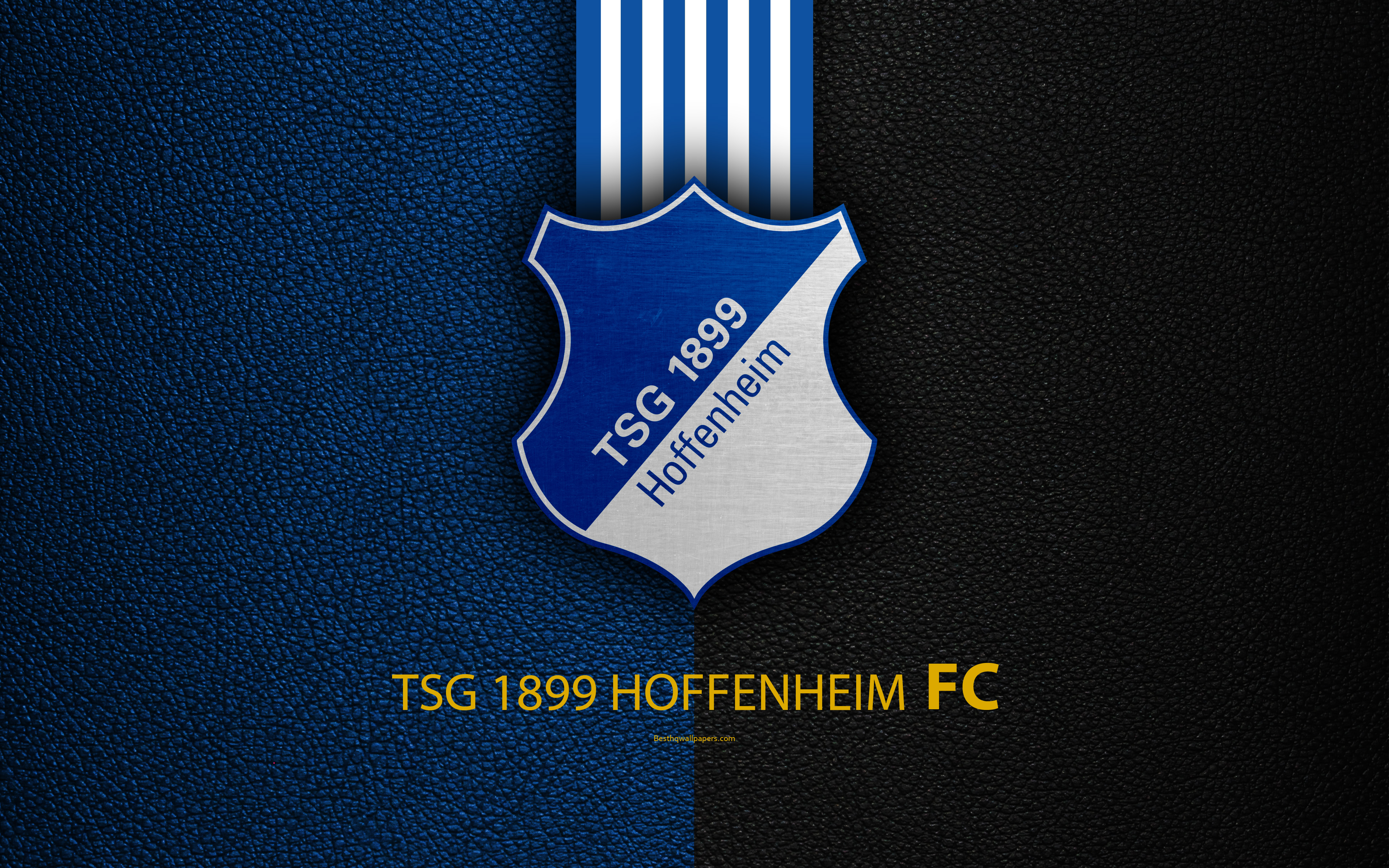 Wallpaper Tsg Hoffenheim Fc 4k German Football
