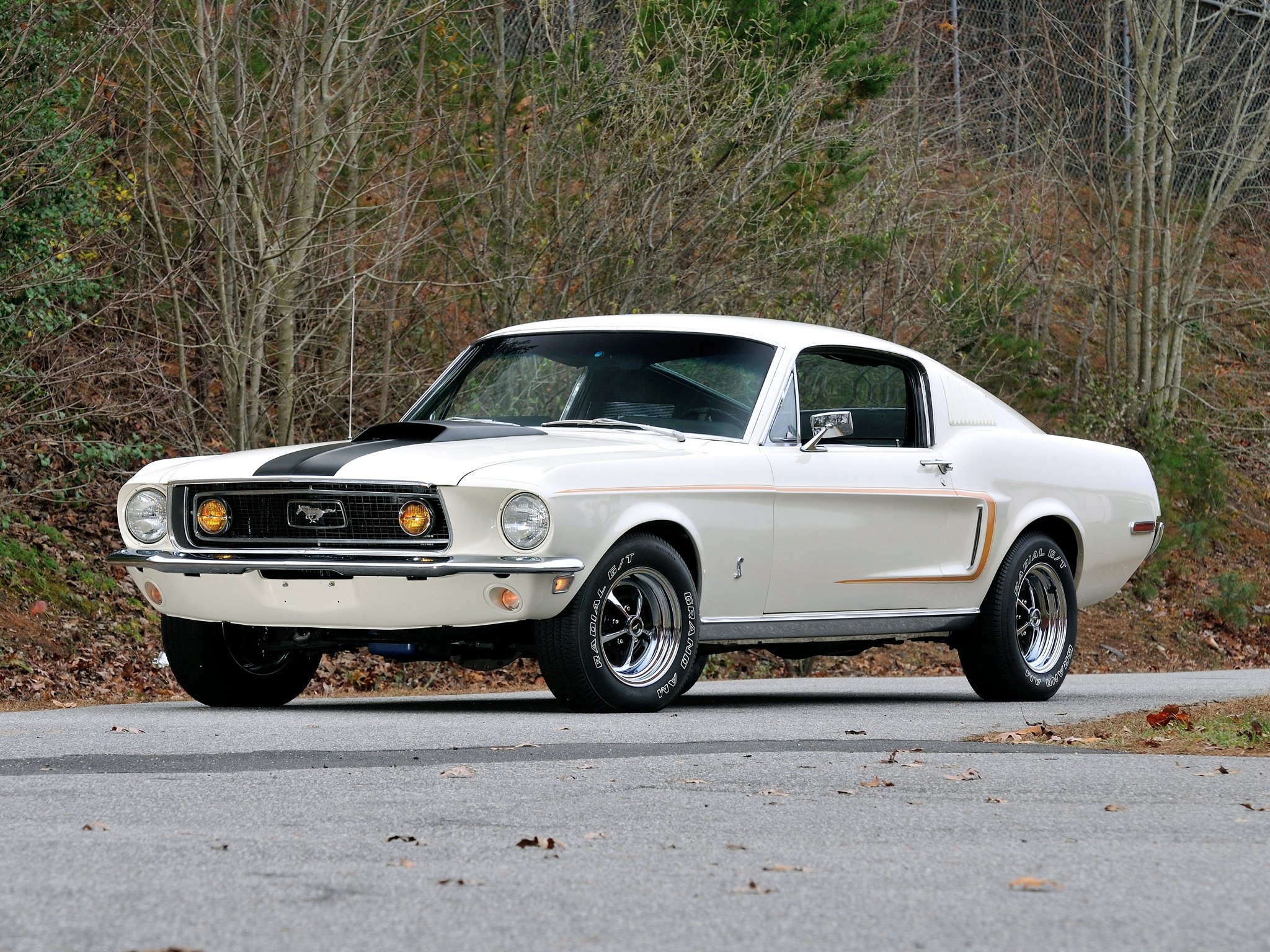 Ford Mustang G T Cobra Jet Fastback Muscle Classic