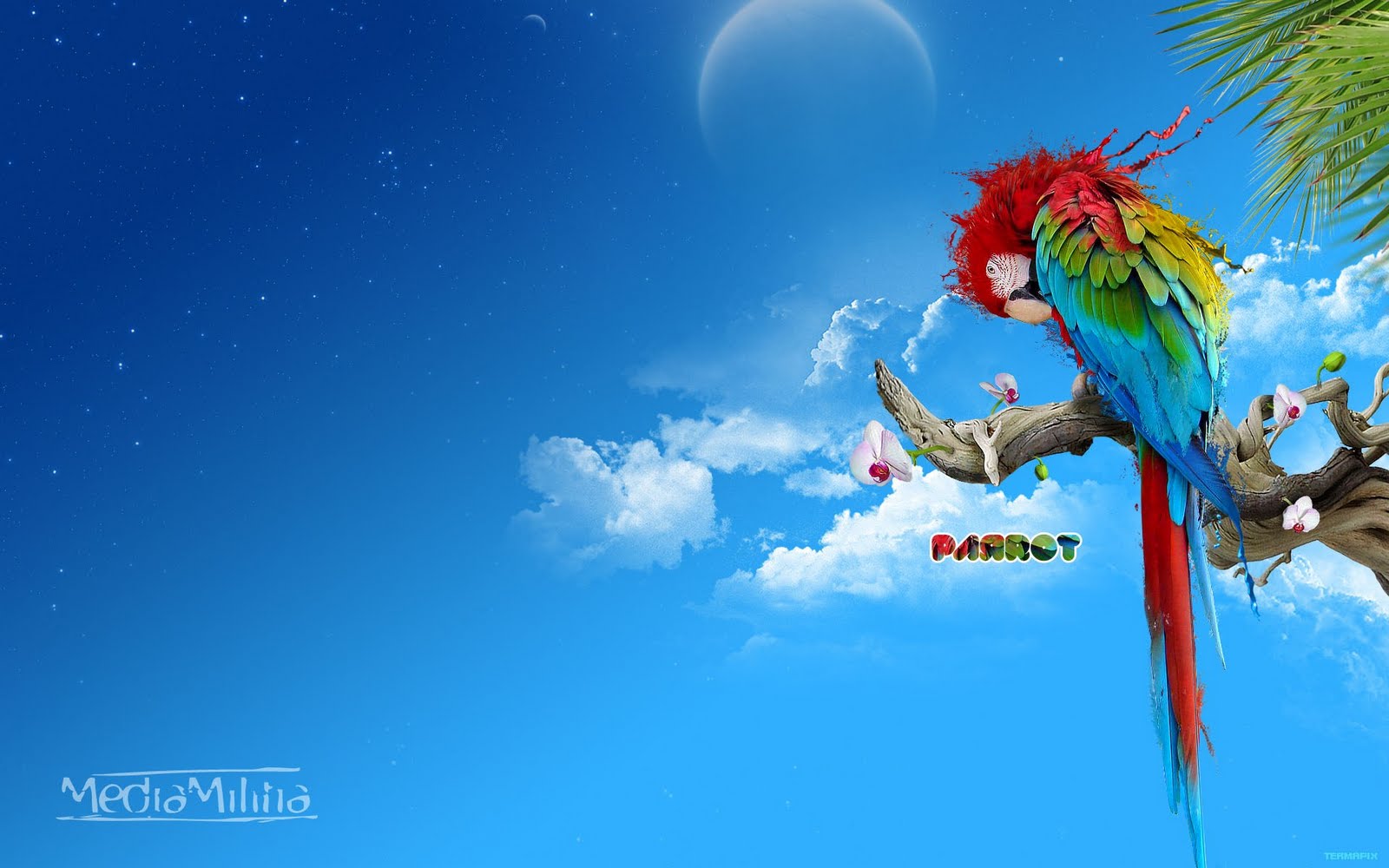 Strictly Wallpaper Imaginary Worlds