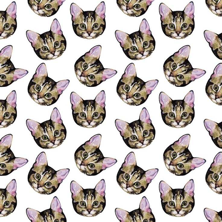 Cat Wallpaper Background HD