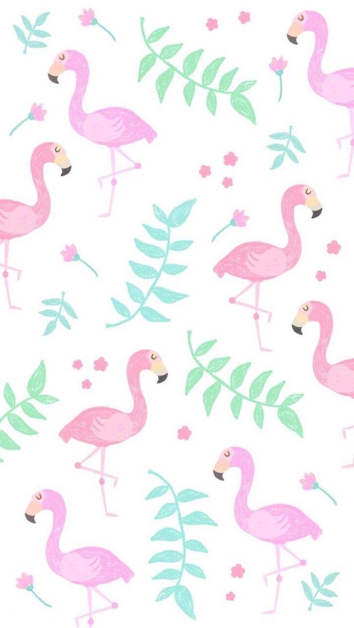 Pink Flamingos Girly iPhone Wallpaper Flowers On A White