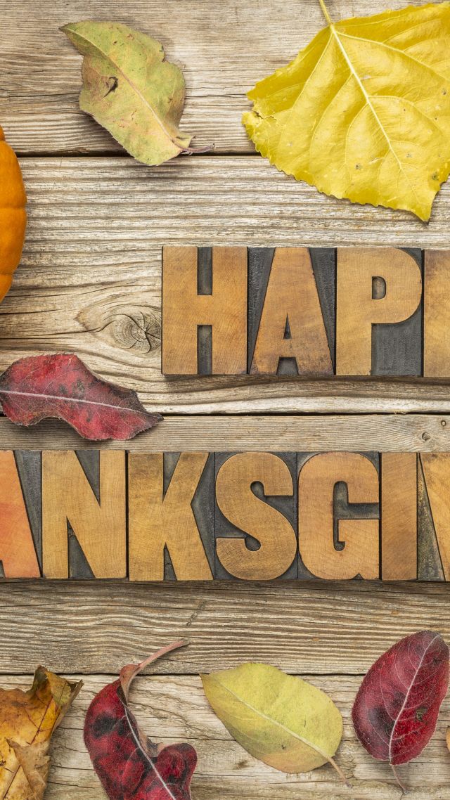 Wallpaper Thanksgiving Day Pumpkin Leaves 5k Holidays