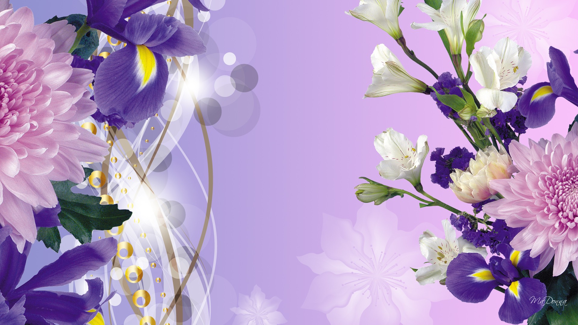 Purple Iris Spring Wallpaper