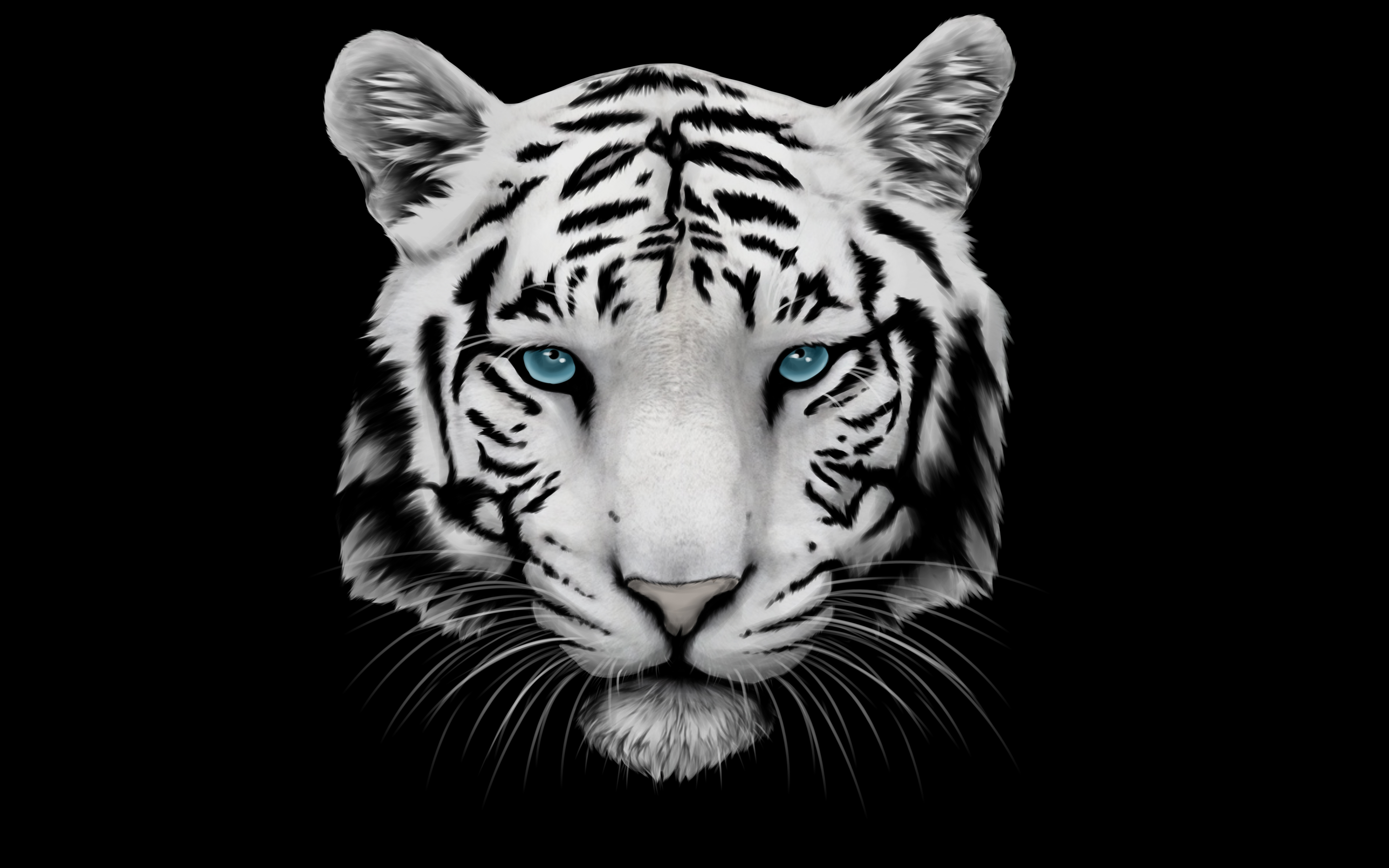 White Tiger Wallpaper Image Photos Pictures Background