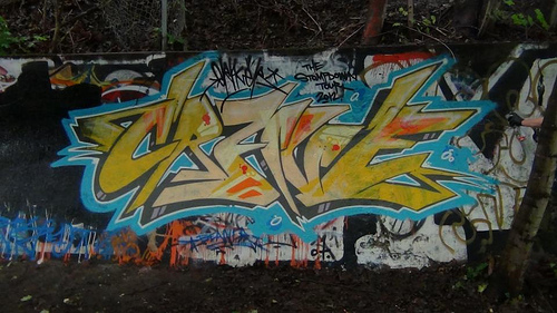 Craver Sdk Graffiti Canada Photo Sharing