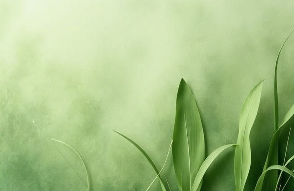 Green Color Background Wallpaper