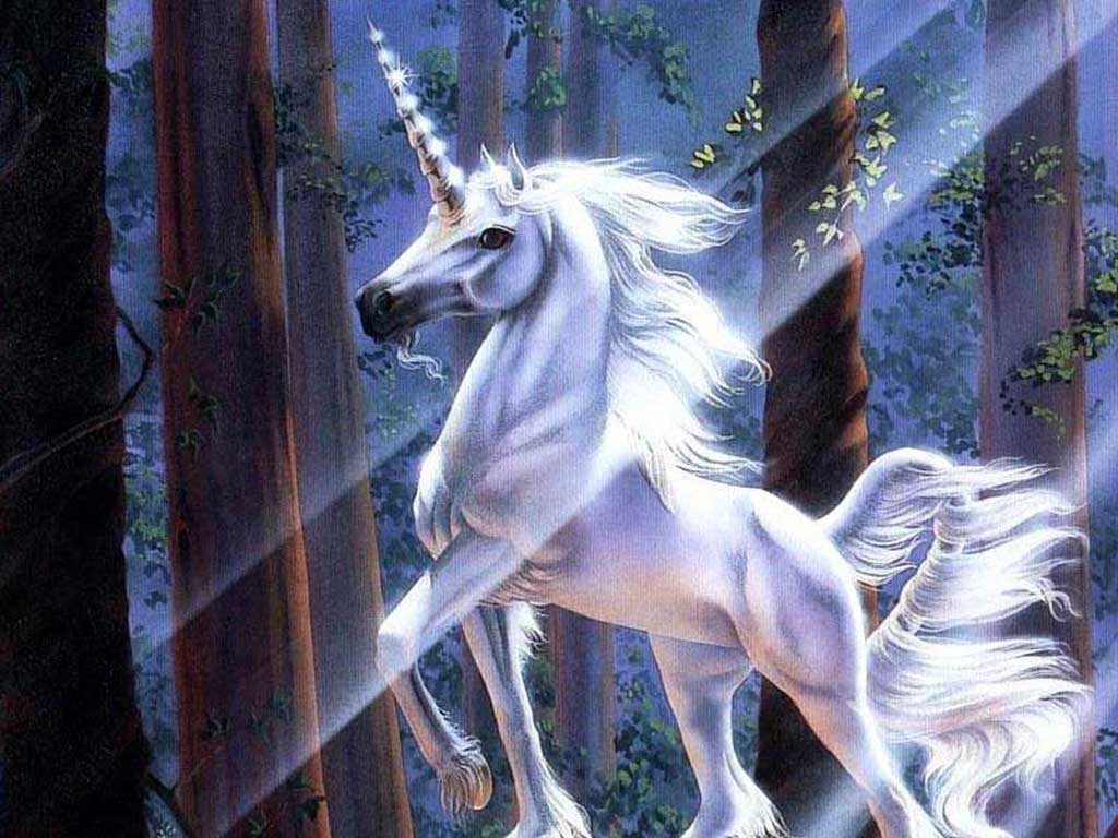 Wallpaper Unicorn In Fairy Forest The Sunshine Of