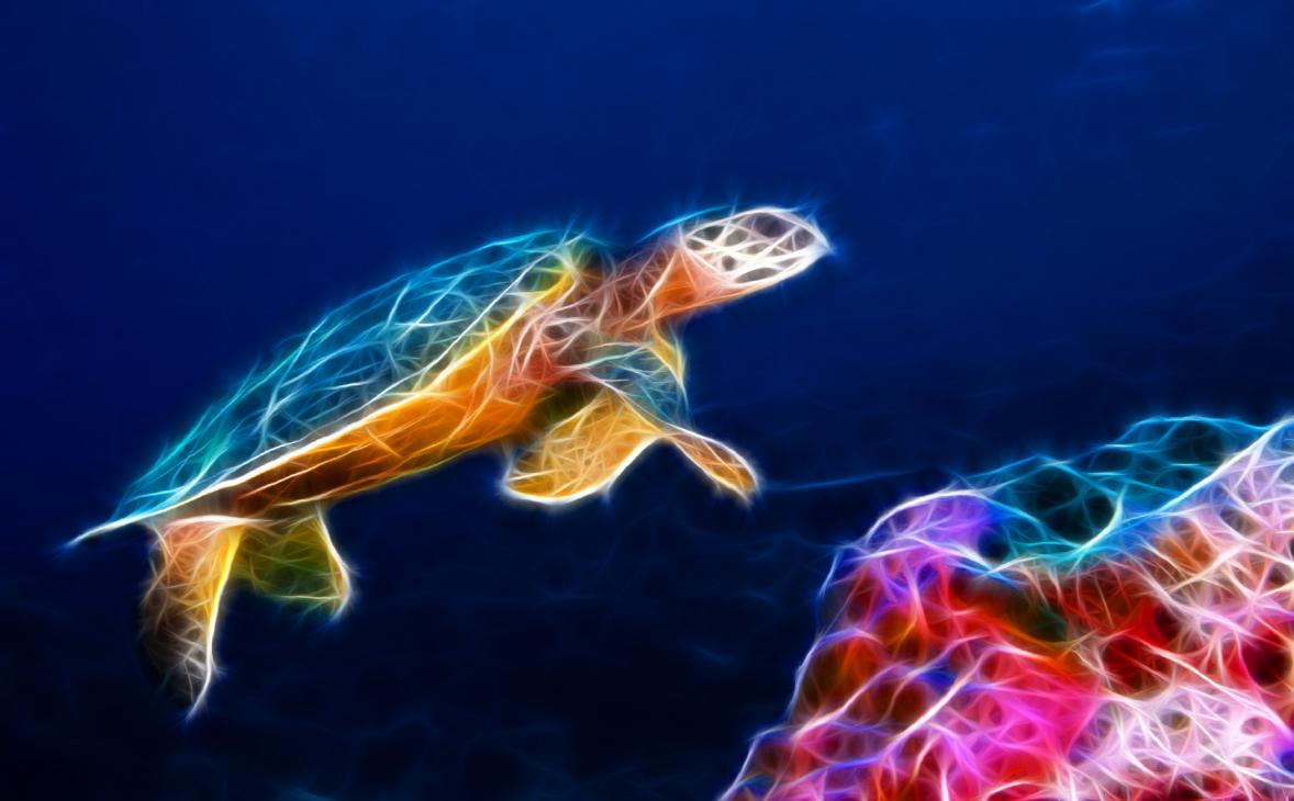 Torrent Sea Turtle Animated Wallpaper 1337x