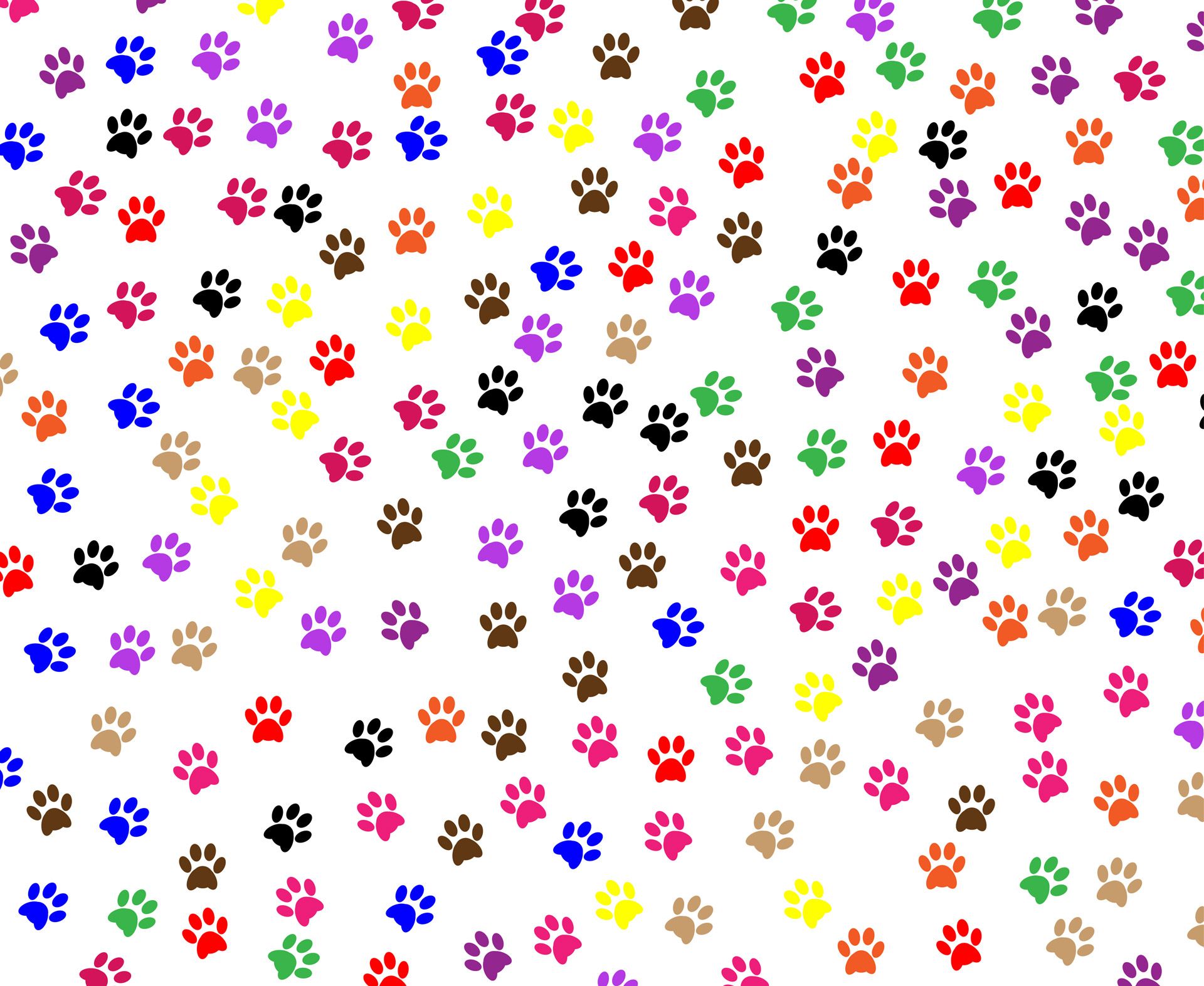 Paw Prints Background Stock Photo HD Public Domain Pictures