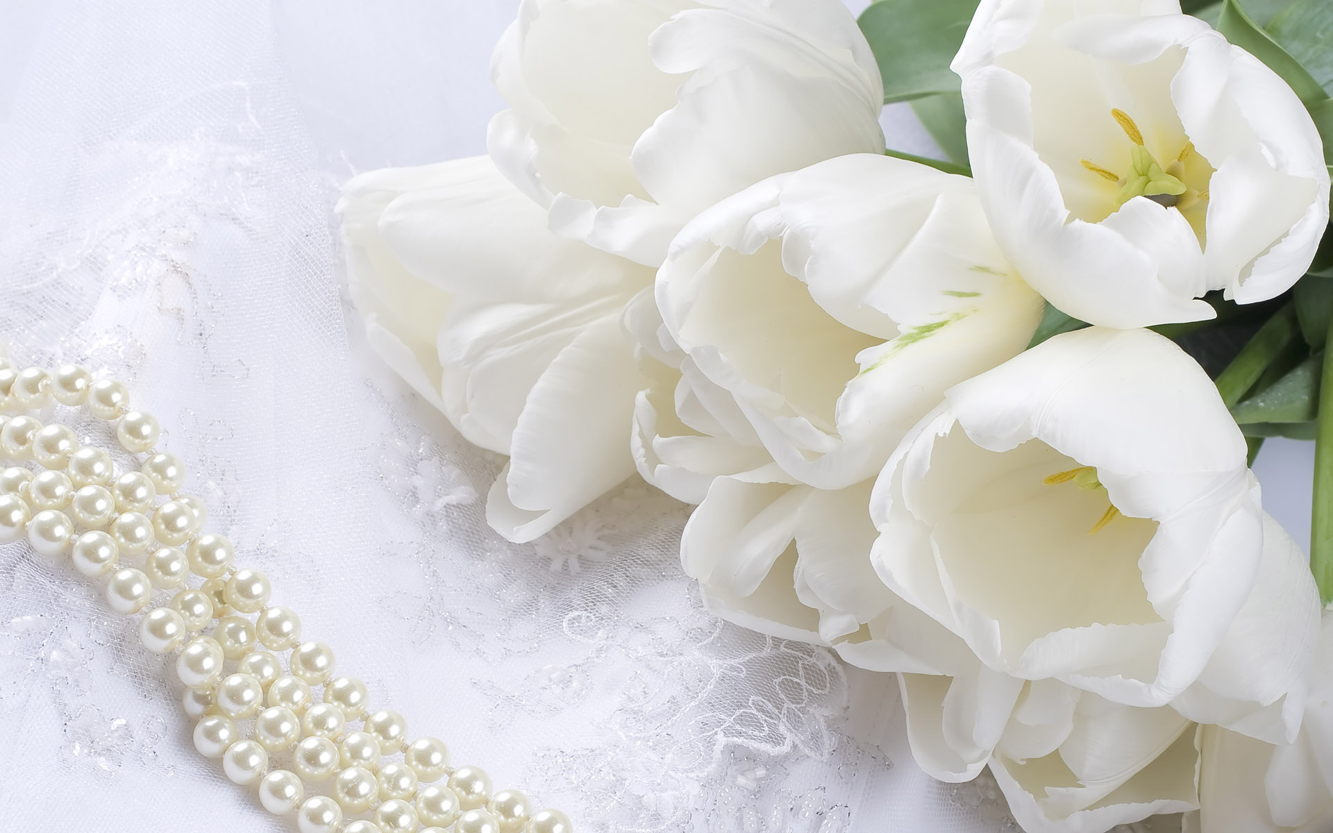 White Flowers HD Wallpaper Wedding Desktop Image