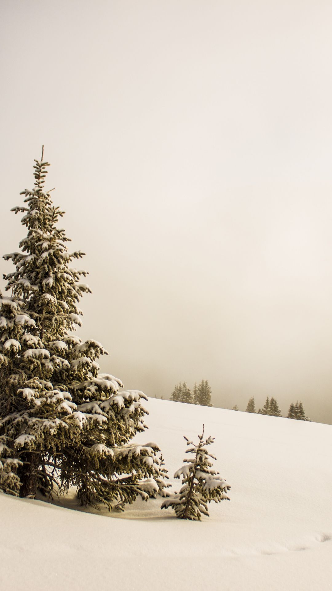 Snow iPhone Wallpaper