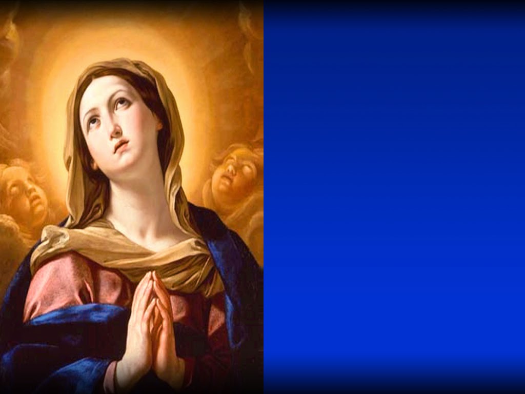 Holy Mass Image Immaculate Conception Of The Blessed Virgin Mary