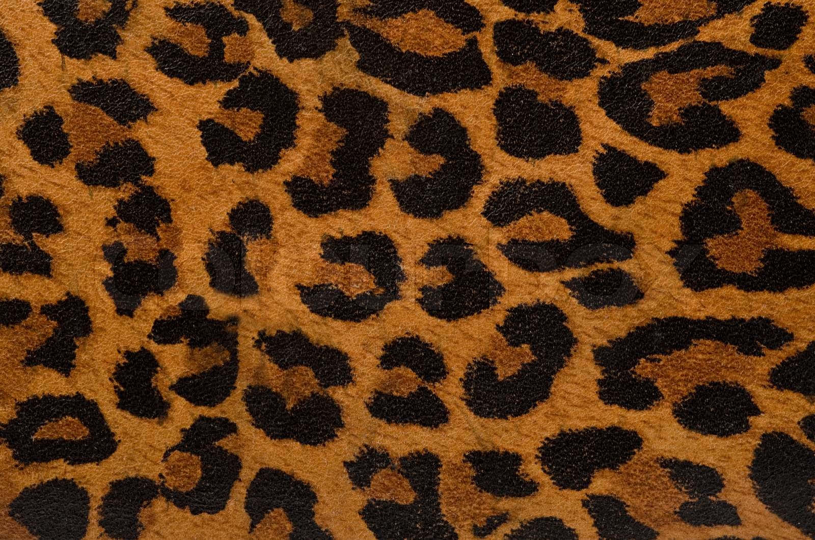 The Intricate Patterns Of Animal Fur Wallpaper