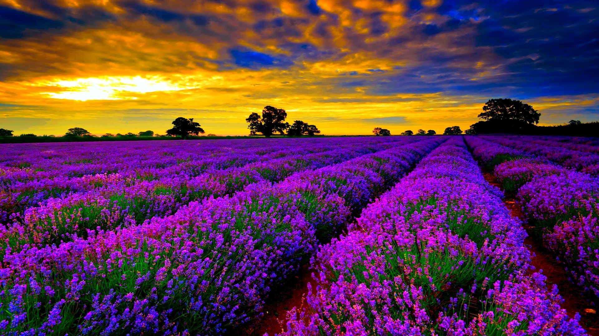 Beautiful Desktop Background Wallpaper