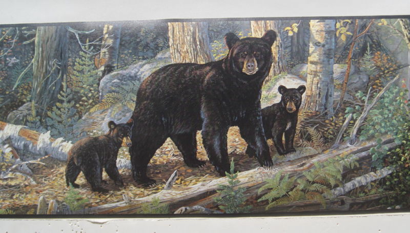 Black Bear With Cubs Bears In The Woods Wallpaper Border