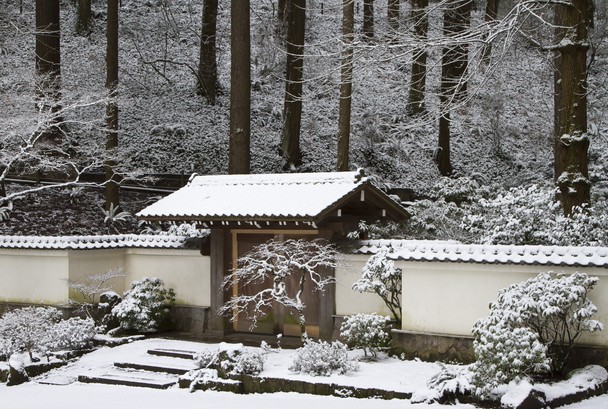Winter at Portland Japanese Garden   Traveler Photo Contest 2011 608x409