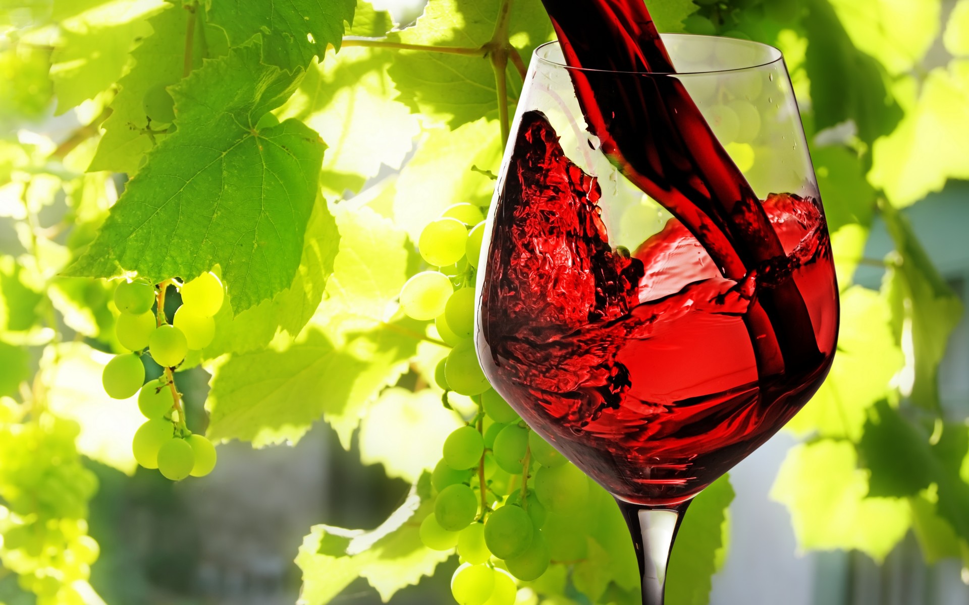 Wine Red Filled Glass Leaves Vines Grapes Fruit Wallpaper