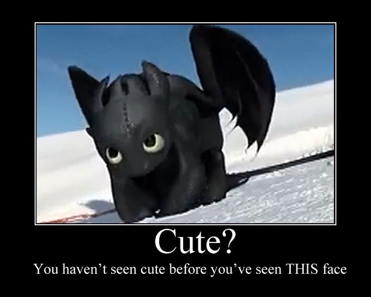 toothless Awesome things Pinterest