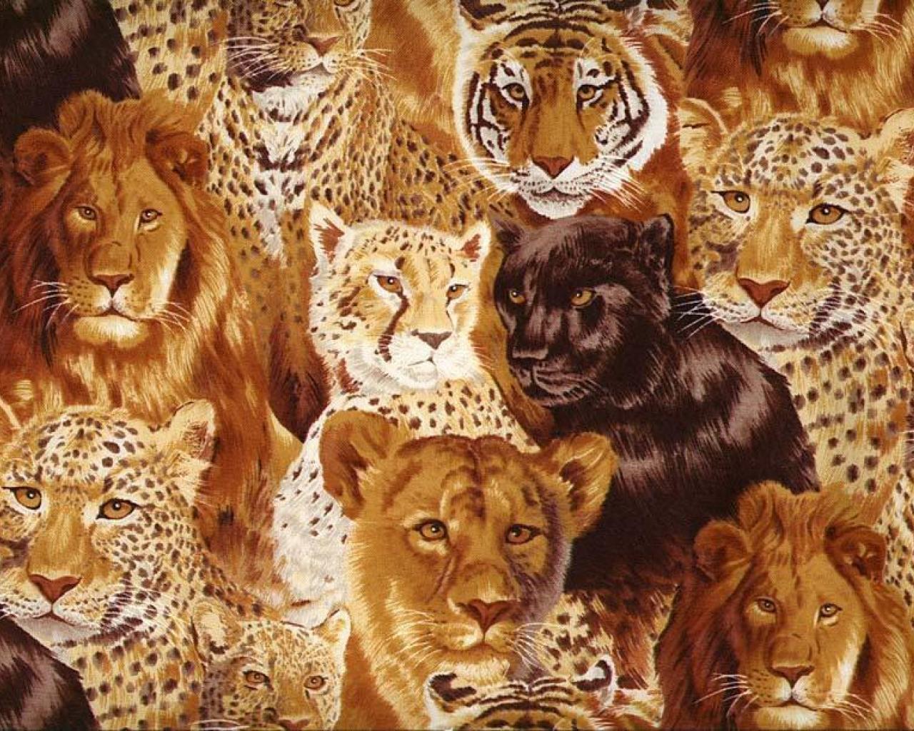 Big Cats Wallpapers High Resolution - WallpaperSafari