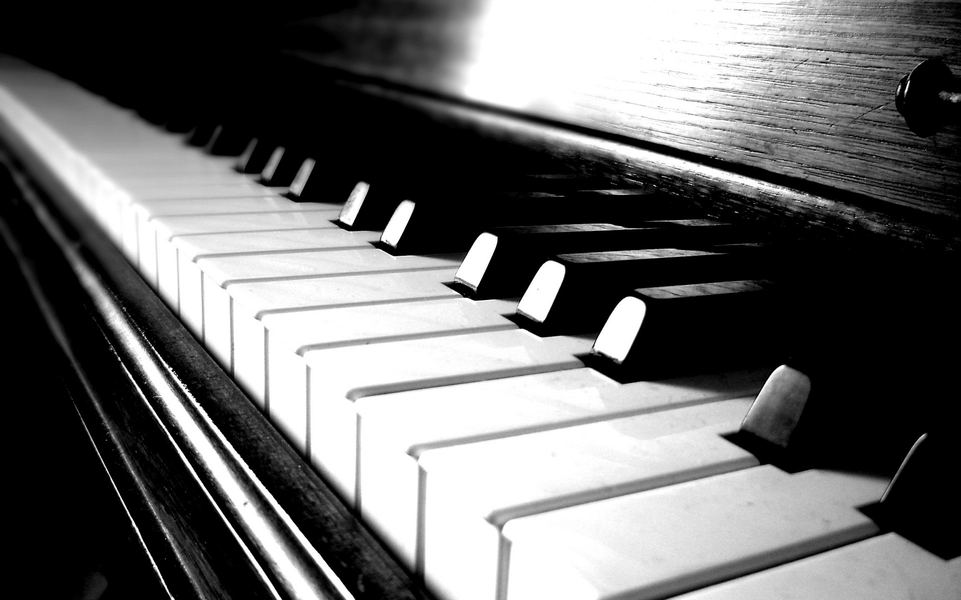 Piano Wallpapers Desktop White Black 333575 Pictures to
