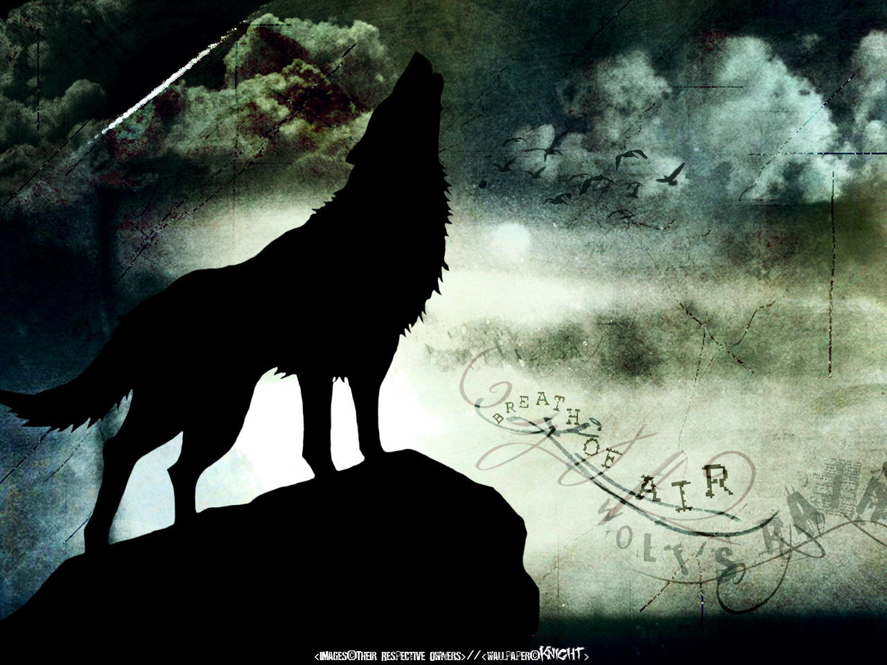 Wolf S Rain Wallpaper And Background Id