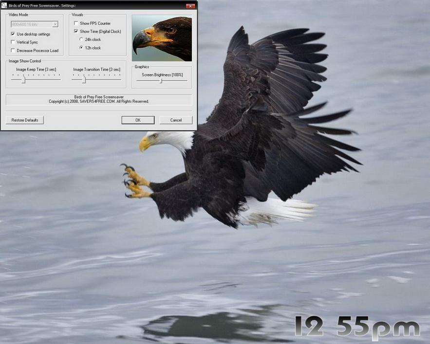 Seivo Image Bing Bird Screensavers Web Search Engine