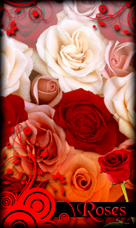Roses Live Wallpaper Flowers For Your Android Phone