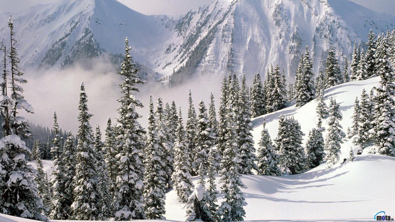 Download Wallpaper Winter Wonderland British Columbia