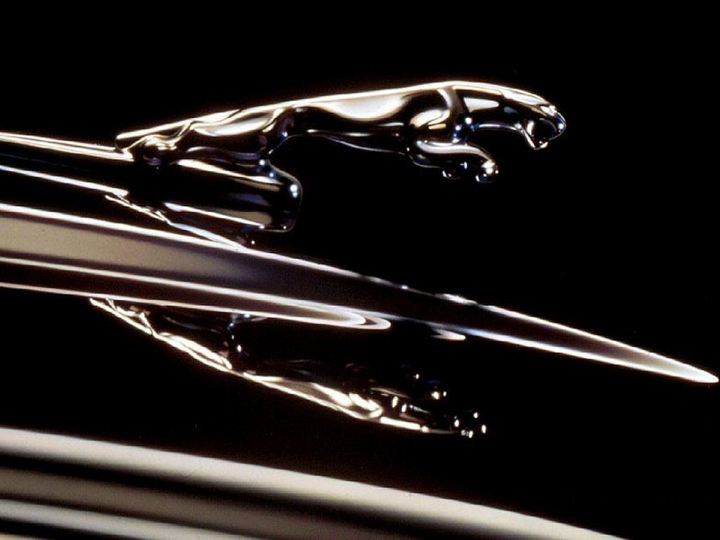 Jaguar Cars HD Wallpaper Check Out The