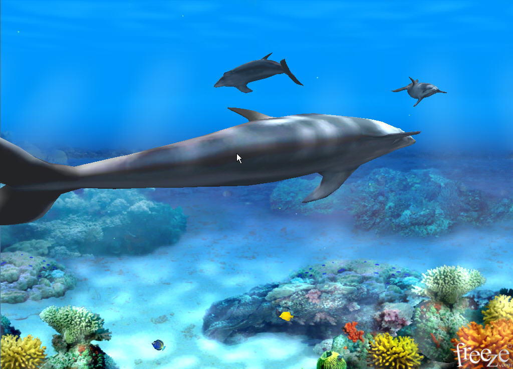 Living 3d Dolphins Animated Wallpaper Software Informer Screenshots