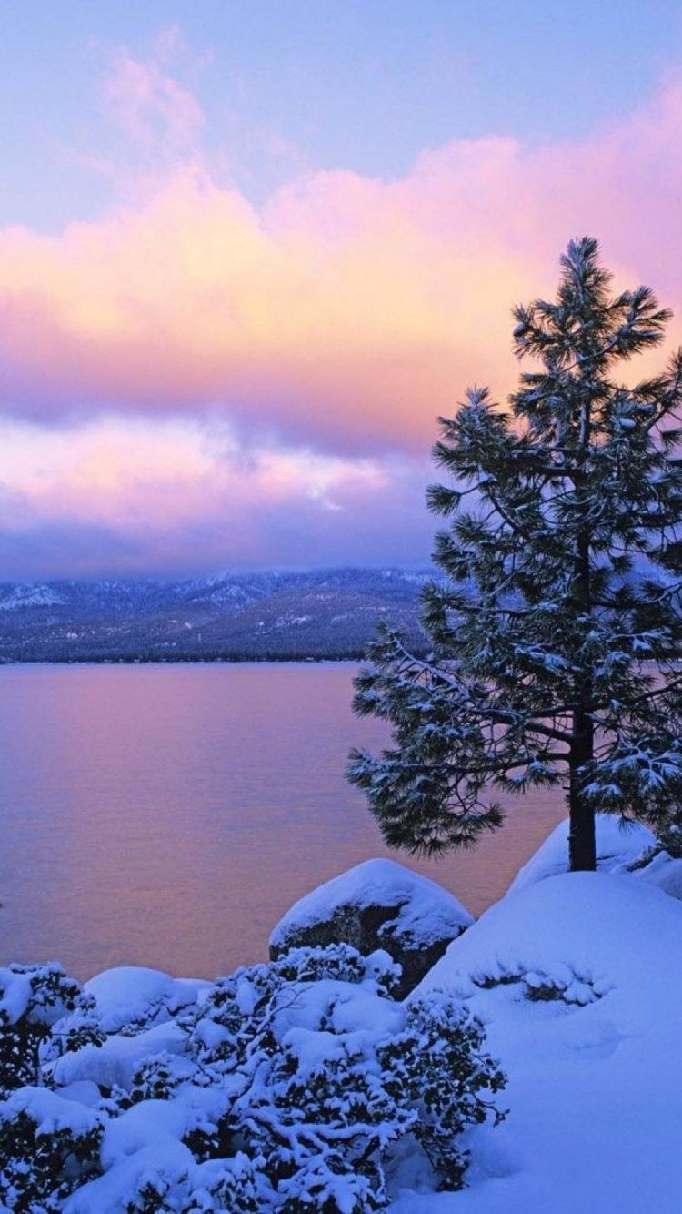 Snow In Lake Tahoe Wallpaper