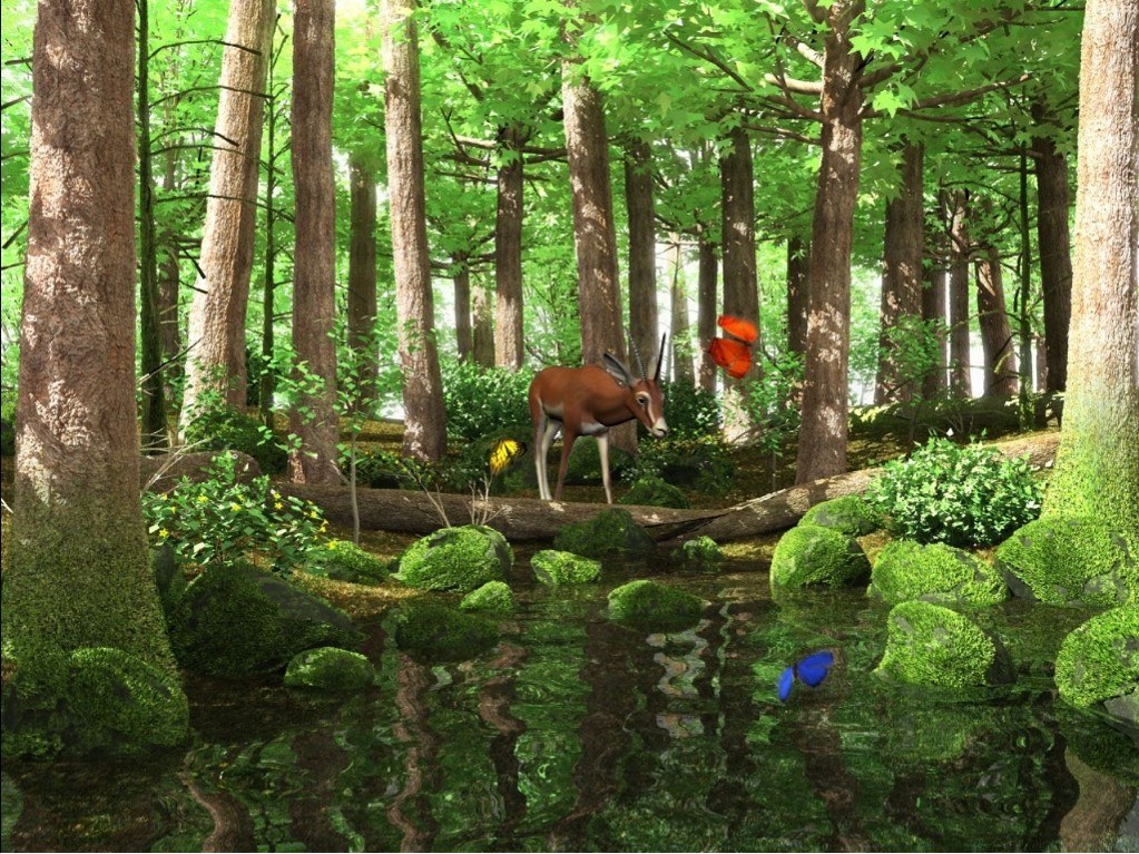 Spring Butterflies 3D Screensaver A deer drinking water from the