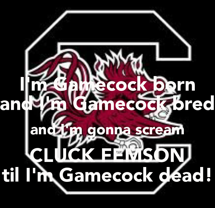 Gamecock Wallpaper I M Born And