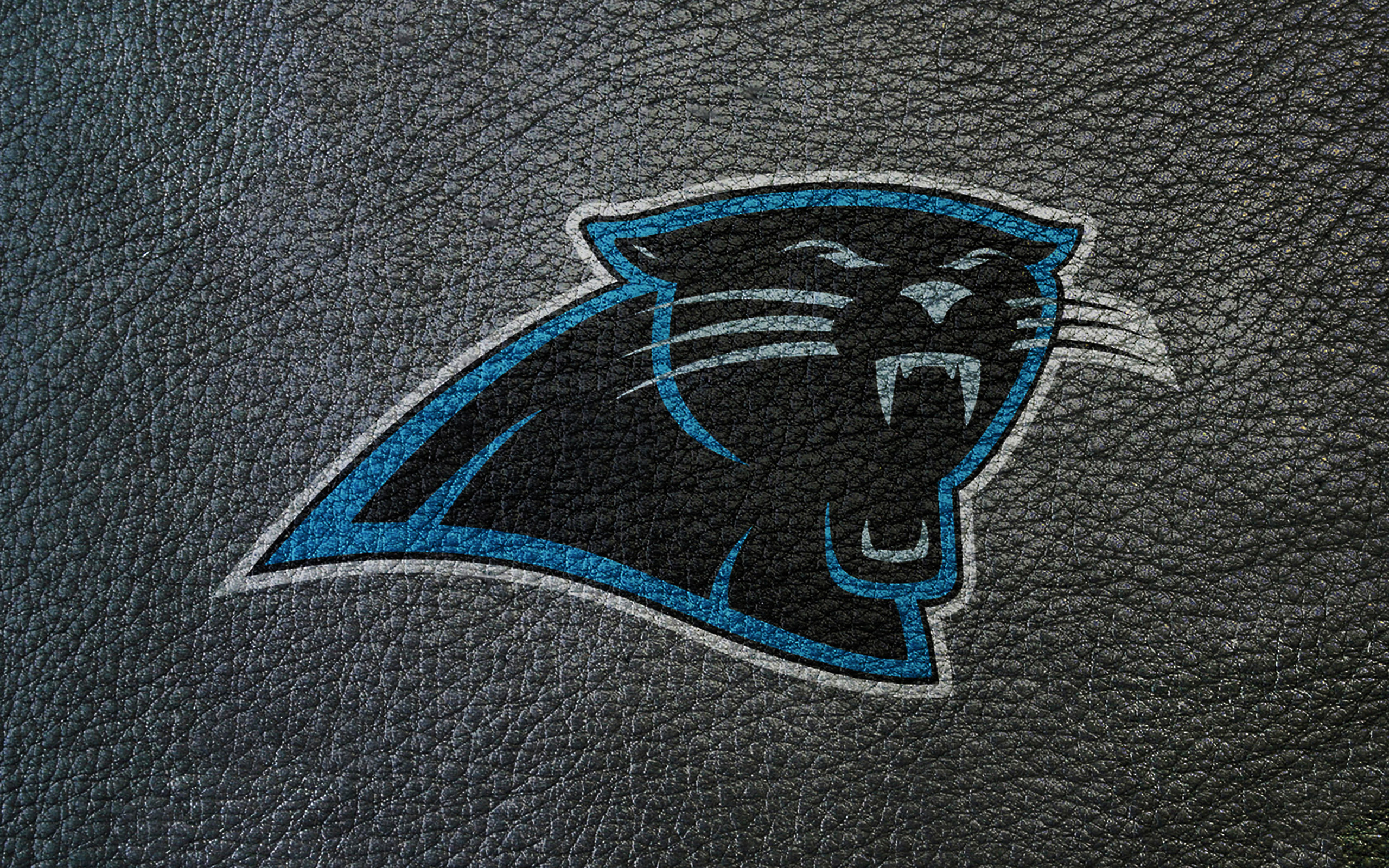 Carolina Panthers 2560x1600
