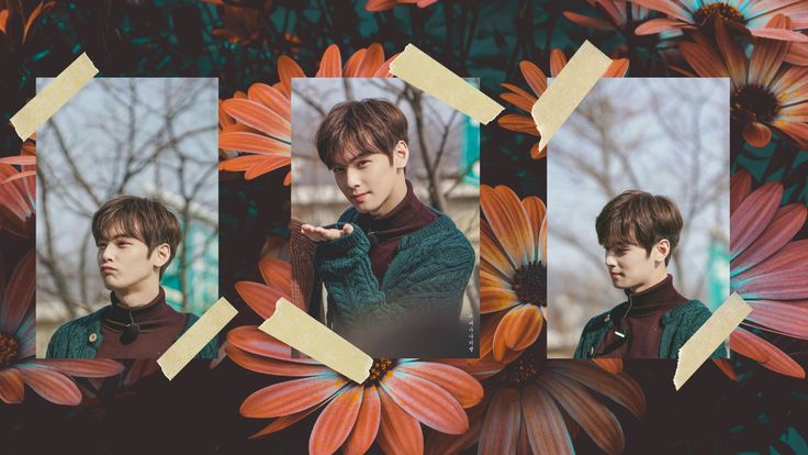 Cha Eun Woo Desktop Wallpaper